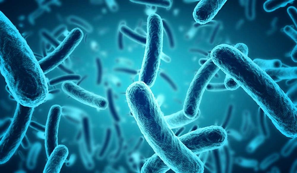 antibiotic
